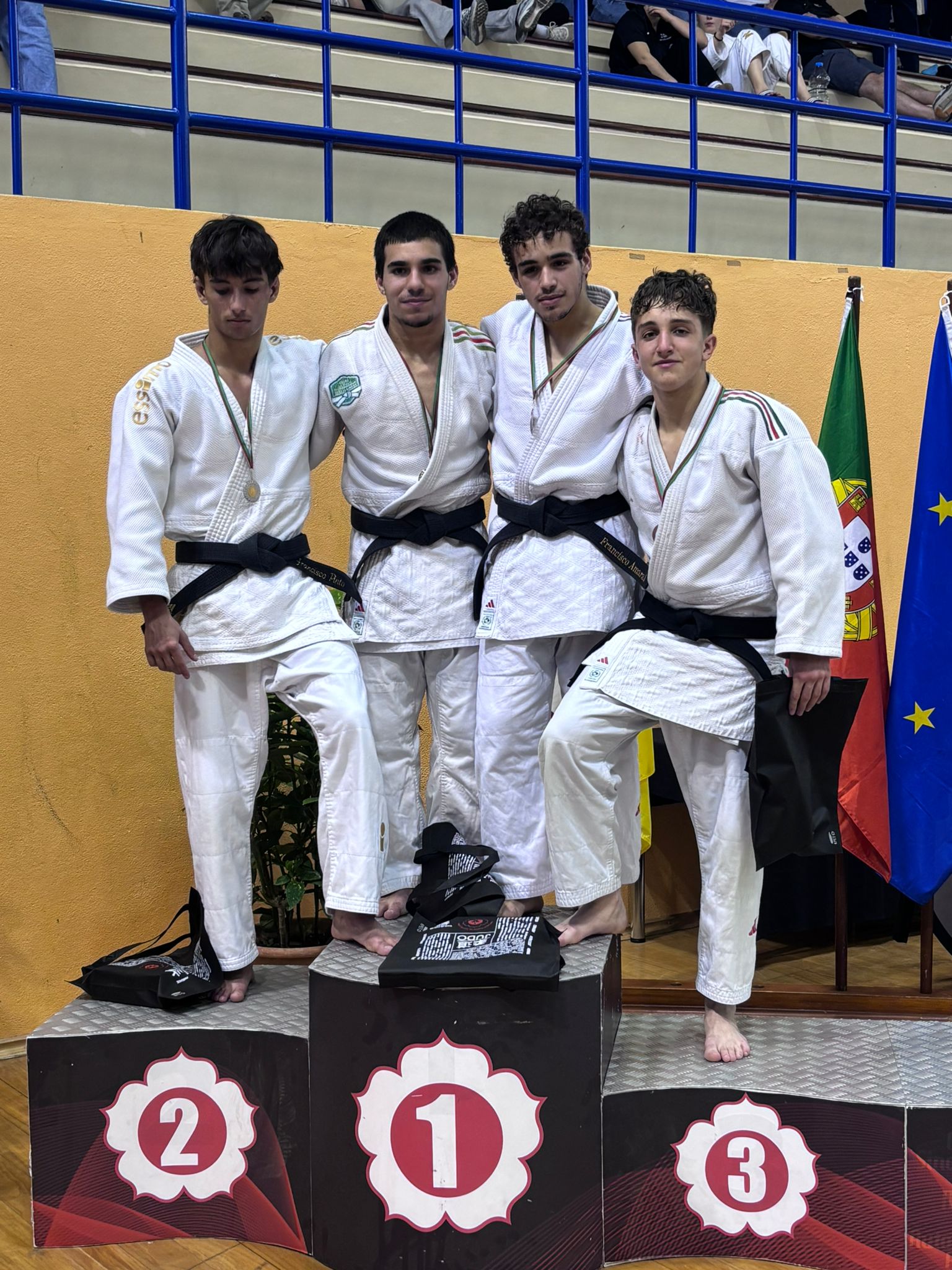 Martim Louro 1º Da Dta